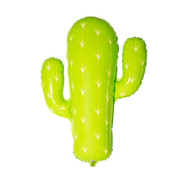 Globo cactus